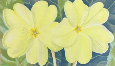 Lot 54 - DANKA NAPIORKOWSKA (B.1946) - TWO PRIMROSES PASTEL