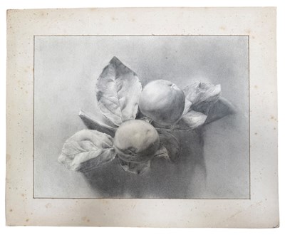 Lot 515 - ECOLE D'ART / SCHOOL OF ART - EARLY 20TH CENTURY GRAPHITE PENCIL STILL LIFE STUDY OF APPLES