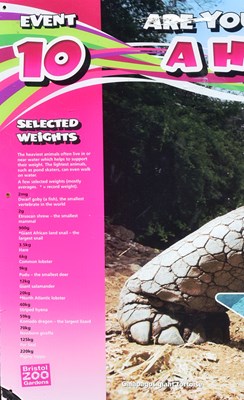 Lot 102 - FORMER BRISTOL ZOO GARDENS - 'ARE YOU A HEAVYWEIGHT?' FEATURE