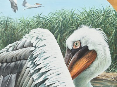 Lot 105 - FORMER BRISTOL ZOO GARDENS - 'DALMATIAN PELICAN' - SUSAN JANE - PAINTING