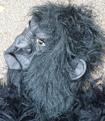 Lot 173 - FORMER BRISTOL ZOO GARDENS - PROMOTIONAL GORILLA COSTUMES