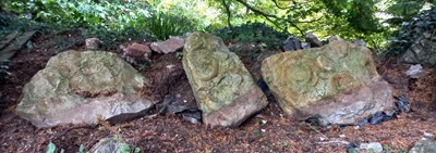 Lot 249 - FORMER BRISTOL ZOO GARDENS - AMMONITES - FROM OUTSIDE BUG WORLD