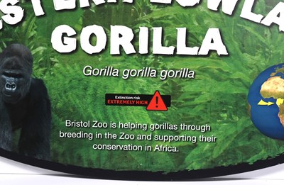 Lot 253 - FORMER BRISTOL ZOO GARDENS - WESTERN LOWLAND GORILLA SIGN