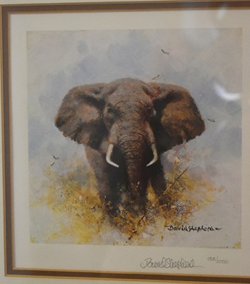 Lot 259 - FORMER BRISTOL ZOO GARDENS - DAVID SHEPHERD (1931-2017) - ELEPHANT - SIGNED PRINT