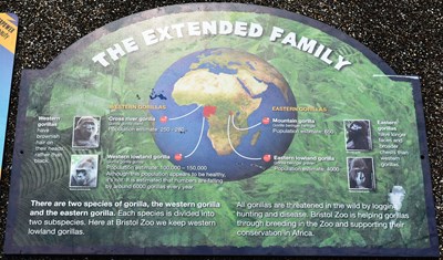 Lot 264 - FORMER BRISTOL ZOO GARDENS - COLLECTION OF ASSORTED SIGNS