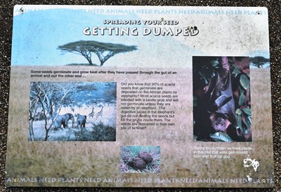 Lot 264 - FORMER BRISTOL ZOO GARDENS - COLLECTION OF ASSORTED SIGNS