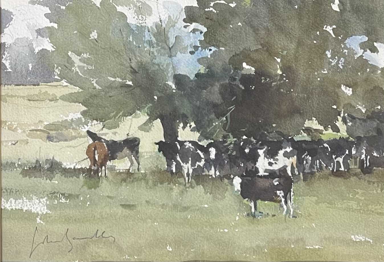 Lot 28 - JOHN YARDLEY (B. 1933) - CATTLE IN THE WYLYE VALLEY - WATERCOLOUR ON PAPER