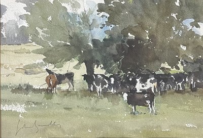 Lot 28 - JOHN YARDLEY (B. 1933) - CATTLE IN THE WYLYE VALLEY - WATERCOLOUR ON PAPER