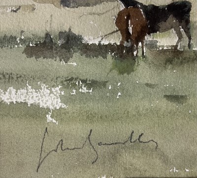 Lot 28 - JOHN YARDLEY (B. 1933) - CATTLE IN THE WYLYE VALLEY - WATERCOLOUR ON PAPER