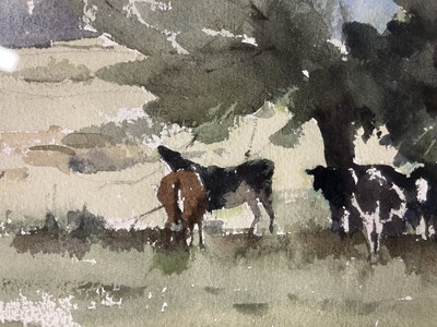 Lot 28 - JOHN YARDLEY (B. 1933) - CATTLE IN THE WYLYE VALLEY - WATERCOLOUR ON PAPER