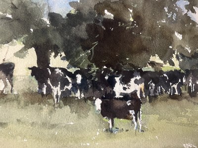 Lot 28 - JOHN YARDLEY (B. 1933) - CATTLE IN THE WYLYE VALLEY - WATERCOLOUR ON PAPER