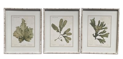 Lot 249 - LARGE COLLECTION OF MODERN INTERIOR DESIGNERS' BOTANICAL PRINTS