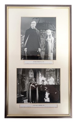 Lot 47 - ELSTREE STUDIOS - ORIGINAL FRAMED HAMMER PRODUCTIONS DISPLAY