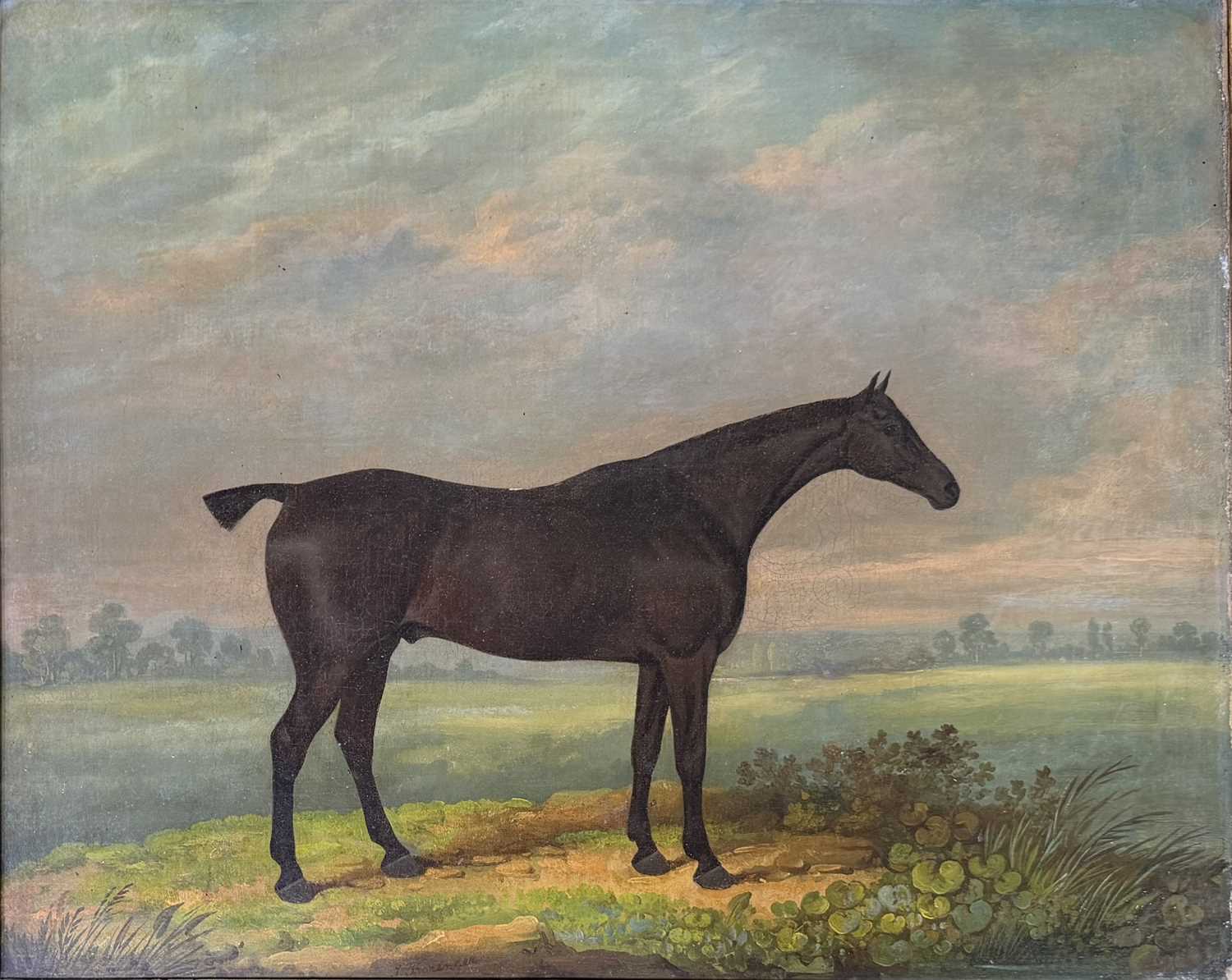 Lot 276 - JAMES BARENGER THE YOUNGER (1780-1831) - BAY MARE - OIL ON RELINED CANVAS PAINTING