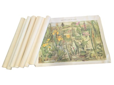Lot 340 - COLLECTION OF 1970S SCHOOLROOM EDUCATIONAL NATURAL WORLD POSTERS