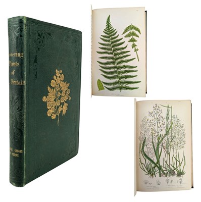 Lot 52 - PRATT, ANNE - c1859 THE GRASSES, SEDGES, AND FERNS OF GREAT BRITAIN, COLOUR PLATES