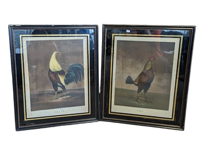 Lot 295 - AFTER BENJAMIN MARSHALL - TWO 19TH CENTURY ENGRAVINGS OF BIRDS BY CHARLES TURNER