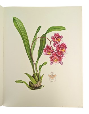 Lot 12 - HUNT, P. FRANCIS - 1973 ORCHIDACEAE, SIGNED LIMITED EDITION, COLOUR PLATES, SCARCE UNBOUND COPY